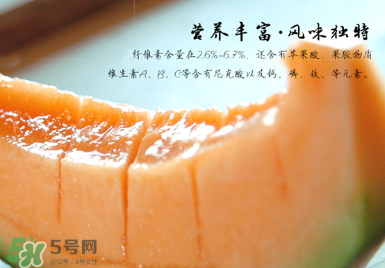 西州蜜瓜什么季節(jié)熟？西州蜜瓜幾月份成熟？