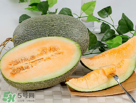 西州蜜瓜什么季節(jié)熟？西州蜜瓜幾月份成熟？
