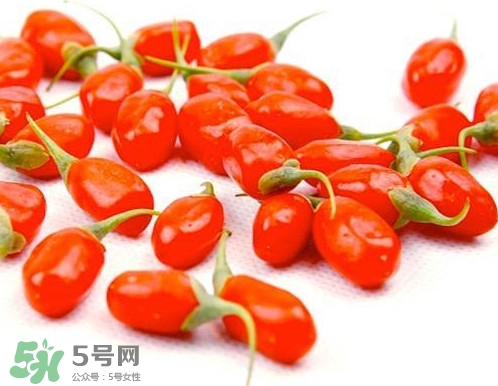 枸杞鮮果能吃嗎？鮮枸杞好還是干枸杞好