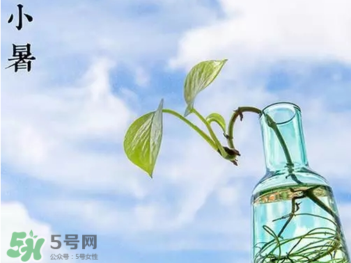 小暑是頭伏嗎？小暑是初伏嗎？