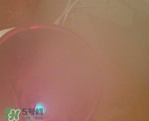 松下蒸臉器和金稻哪個好？松下蒸臉器和金稻蒸臉器對比
