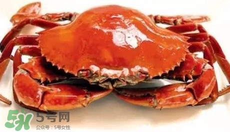 石夾紅螃蟹什么時(shí)候有？石夾紅螃蟹什么時(shí)候最肥