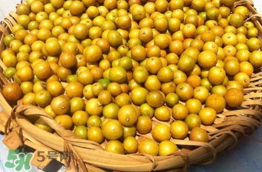 黃皮果是小金橘嗎？黃皮果和小金橘的區(qū)別