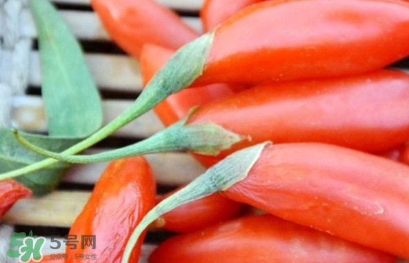 青海和寧夏枸杞哪個(gè)好？青海枸杞和寧夏枸杞的區(qū)別