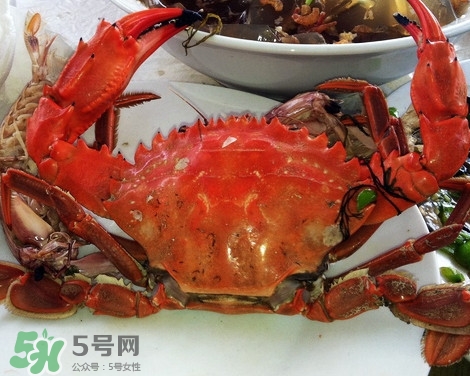 石夾紅螃蟹什么時(shí)候有？石夾紅螃蟹什么時(shí)候最肥
