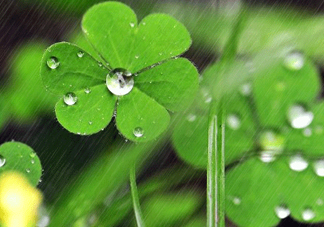 2017年小暑會下雨嗎？小暑這一天下雨好嗎？