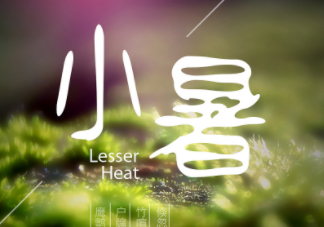 小暑是頭伏嗎？小暑是初伏嗎？