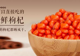 枸杞鮮果能吃嗎？鮮枸杞好還是干枸杞好