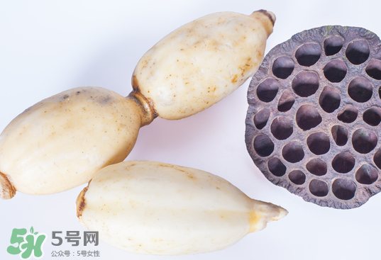蓮蓬和蓮藕一樣嗎？蓮蓬和蓮藕的區(qū)別