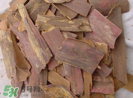 紅豆杉樹皮多少錢一斤？2017紅豆杉市場價