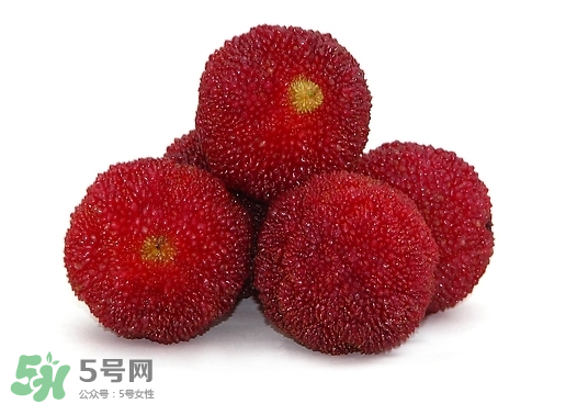 新鮮楊梅怎么保存得更長時間？新鮮楊梅能保存幾天？