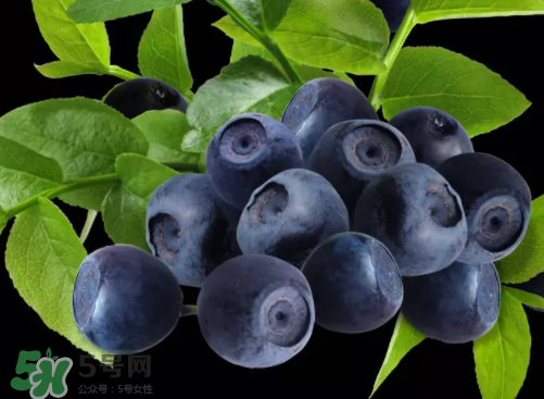 新鮮藍(lán)莓可以直接吃嗎？新鮮藍(lán)莓怎么吃才好吃？