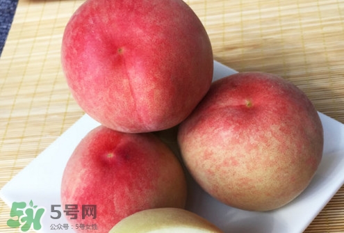 脆桃是什么品種？脆桃什么時候上市