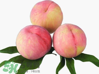 脆桃有什么營(yíng)養(yǎng)？脆桃的營(yíng)養(yǎng)價(jià)值