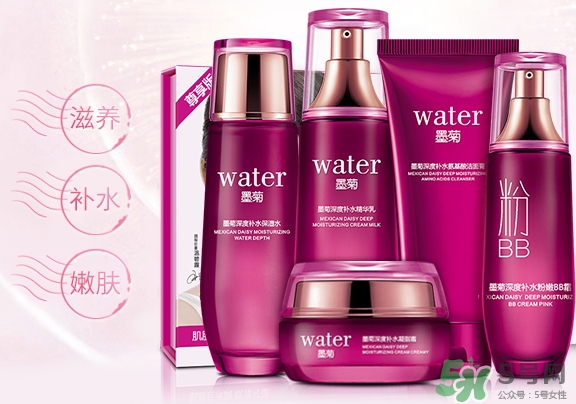 一枝春是什么牌子？一枝春化妝品怎么樣