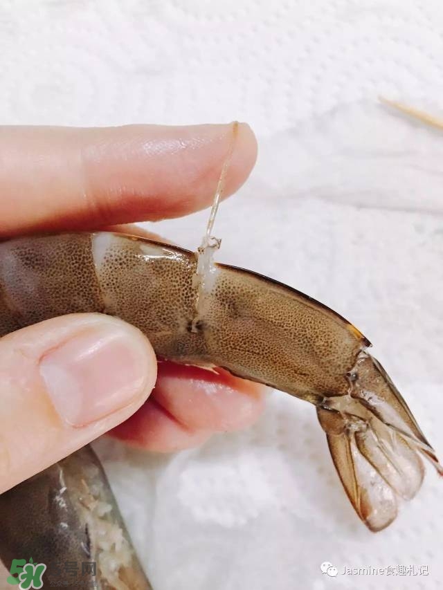 活基圍蝦怎么保存？活基圍蝦怎么處理干凈？