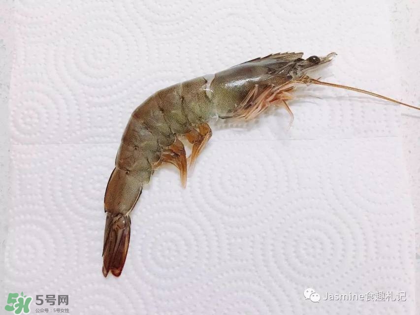 基圍蝦蝦線(xiàn)怎么去除 基圍蝦去蝦線(xiàn)圖解