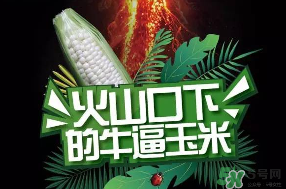 微玉冰糖玉米小孩可以吃嗎？微玉冰糖玉米營養(yǎng)豐富嗎？