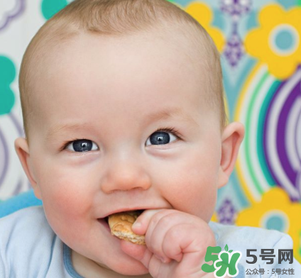磨牙餅干吃不完怎么辦？磨牙餅干吃到多大？