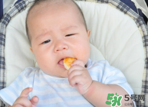 磨牙餅干吃不完怎么辦？磨牙餅干吃到多大？
