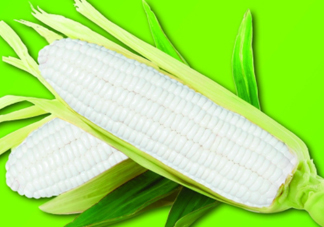 白玉米煮后變黃能吃嗎？白玉米為什么變黃了？