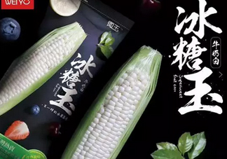 冰糖玉米?是轉(zhuǎn)基因嗎？冰糖玉米多少錢一斤？