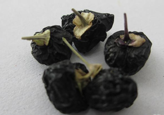 黑枸杞可以和菊花一起喝嗎？菊花和黑枸杞一起喝好嗎