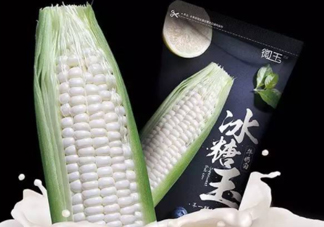微玉冰糖玉米可以生吃嗎？微玉冰糖玉米安全嗎？
