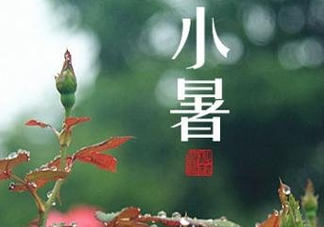 小暑種什么菜？小暑為什么要種牽牛花？