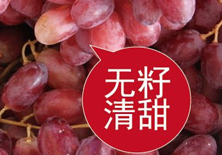 ?無籽紅提?孕婦能吃嗎吃嗎？孕婦能不能吃無籽紅提？