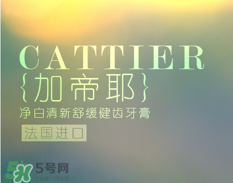 cattier加帝耶是什么牌子？法國(guó)cattier什么檔次？