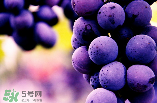 夏黑葡萄多少錢一斤？夏黑葡萄怎么挑選？