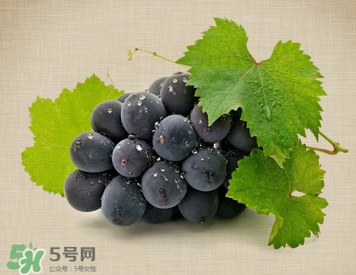 夏黑葡萄多少錢一斤？夏黑葡萄怎么挑選？