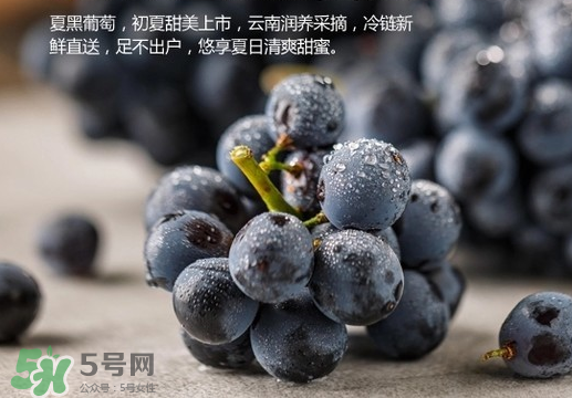 夏黑葡萄皮能吃嗎？夏黑葡萄怎么吃？