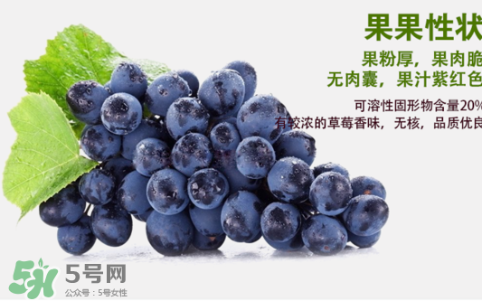 夏黑葡萄怎么洗？夏黑葡萄怎么洗才干凈？