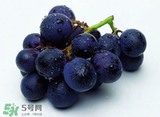 巨峰葡萄和葡萄有什么區(qū)別？巨峰葡萄是轉(zhuǎn)基因的嗎？