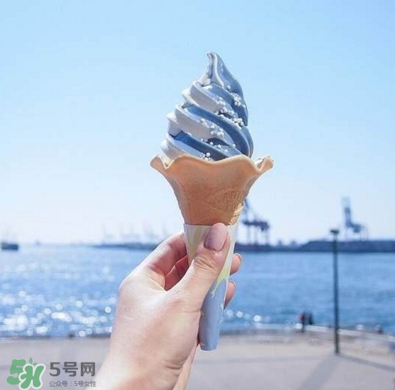 鯨鯊冰淇淋好吃嗎？鯨鯊冰淇淋多少錢？