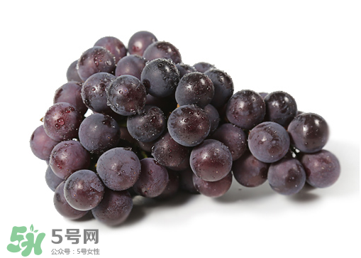 巨峰和夏黑哪個好吃？哪個貴？有什么區(qū)別？