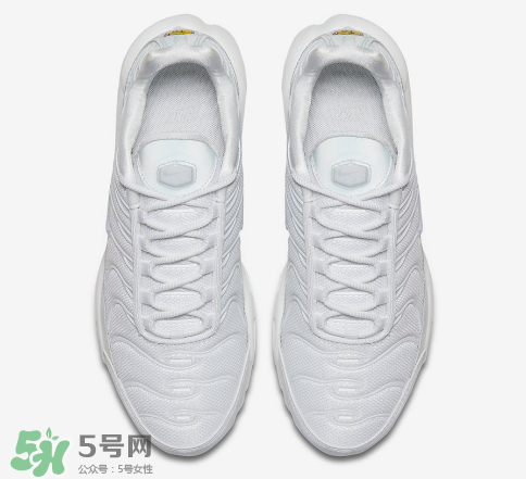 nike air max plus ice blue多少錢？耐克氣墊plus冰藍配色價格