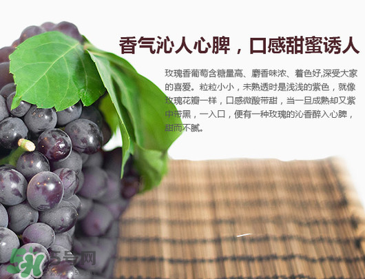 玫瑰香葡萄孕婦能吃嗎？孕婦可以吃玫瑰香葡萄嗎？