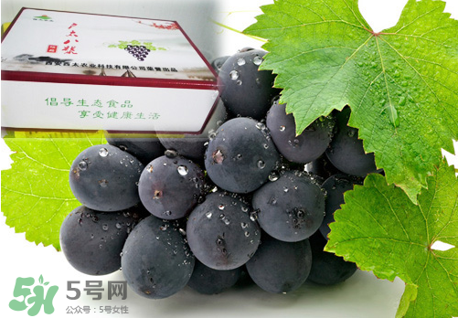 戶(hù)太八號(hào)葡萄什么時(shí)候套袋？戶(hù)太八號(hào)葡萄什么月份套袋？