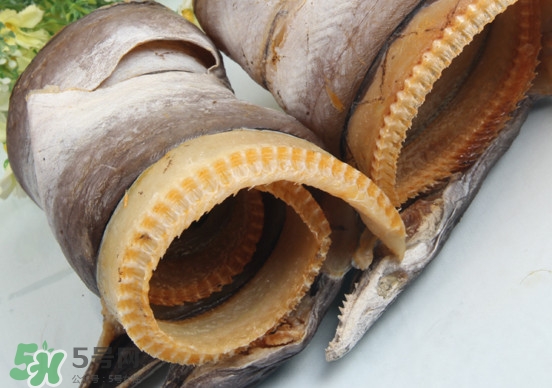 鰻魚干怎么保存最好？鰻魚干如何保存時間久