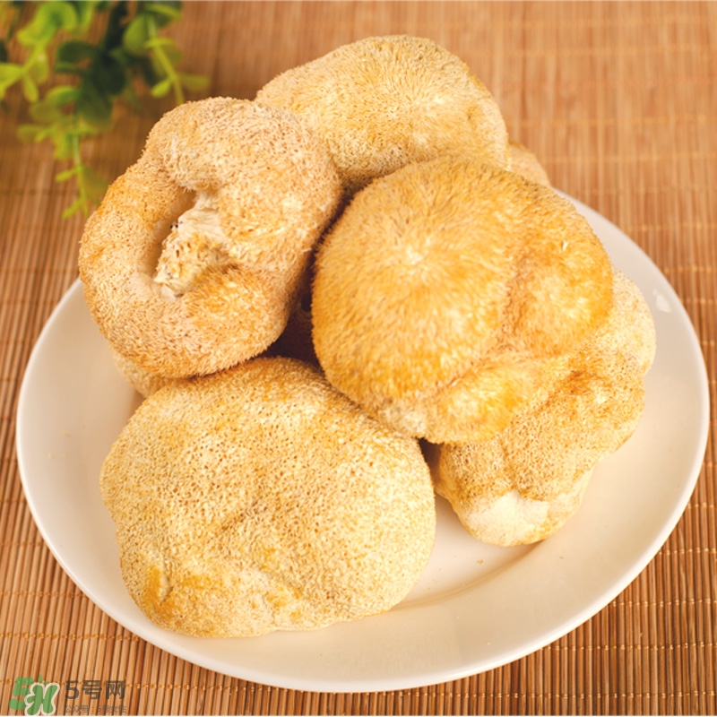 猴頭菇怎樣吃治胃?。亢镱^菇能治胃病嗎？