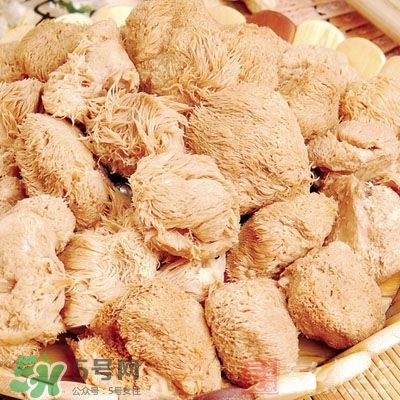 猴頭菇怎樣吃治胃??？猴頭菇能治胃病嗎？