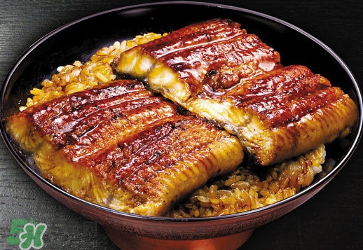 鰻魚飯熱量高嗎？鰻魚飯的熱量有多高