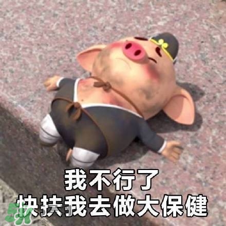 豬小屁表情包是什么？豬小屁表情包為什么這么火？