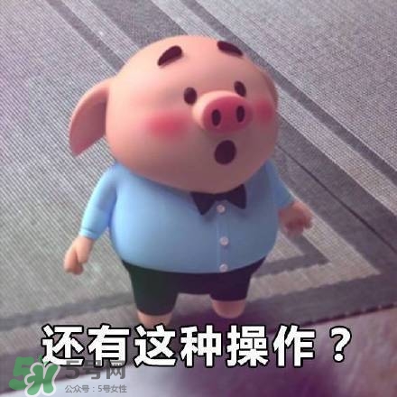 豬小屁表情包是什么？豬小屁表情包為什么這么火？