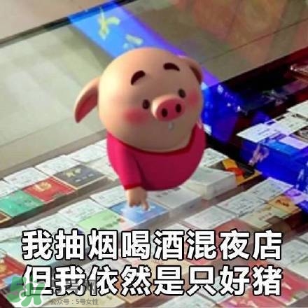 豬小屁表情包是什么？豬小屁表情包為什么這么火？