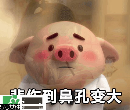 豬小屁多少錢一個？豬小屁哪里可以買到