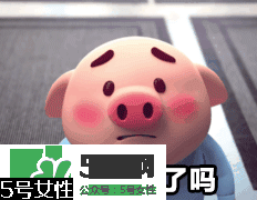 豬小屁多少錢一個？豬小屁哪里可以買到